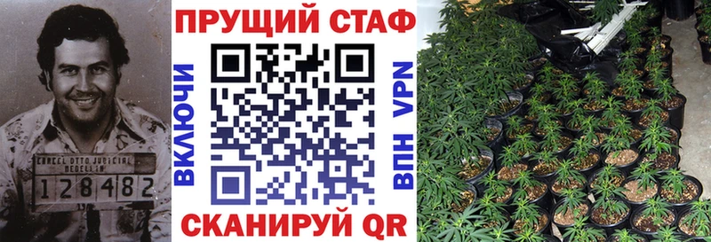 Виды наркоты Приозерск Alpha PVP  Бошки Шишки  Меф  Гашиш 