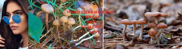 кокаин перу Алексин