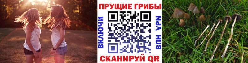 Галлюциногенные грибы MAGIC MUSHROOMS  Приозерск 